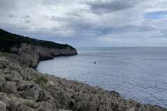 9B9497CB-86DA-454D-963E-FEAE0AD8474F