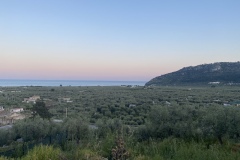 Piana degli ulivi di Mattinata
