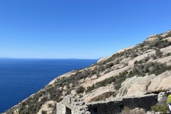 Molino