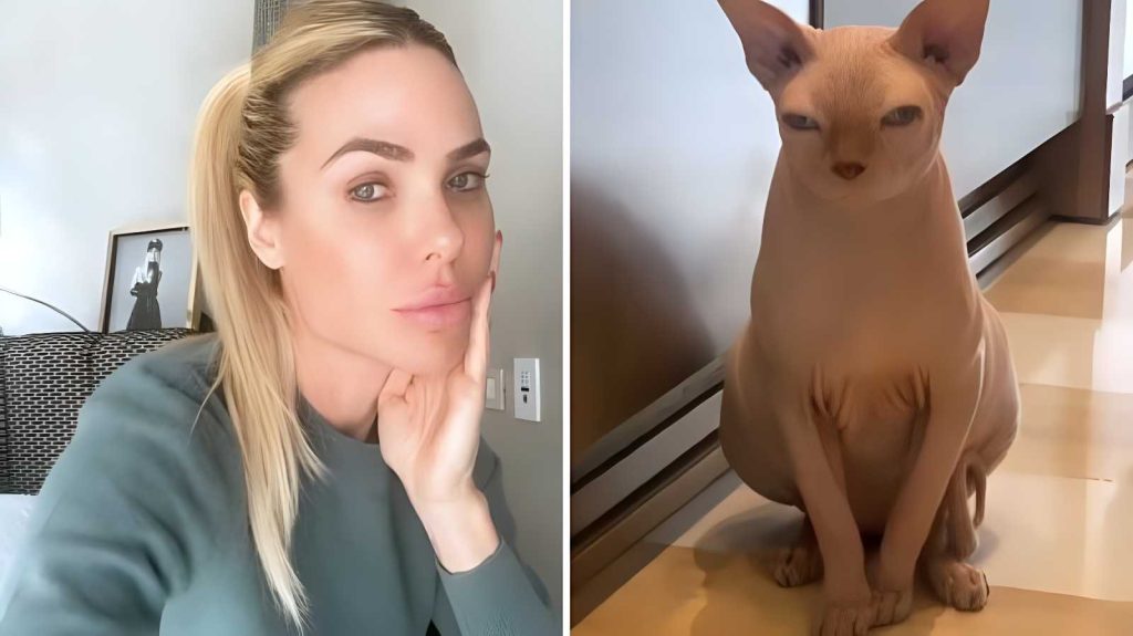 Ilary Blasi e il suo Alfio: Coccole e relax con il gatto Canadian Sphynx senza pelo